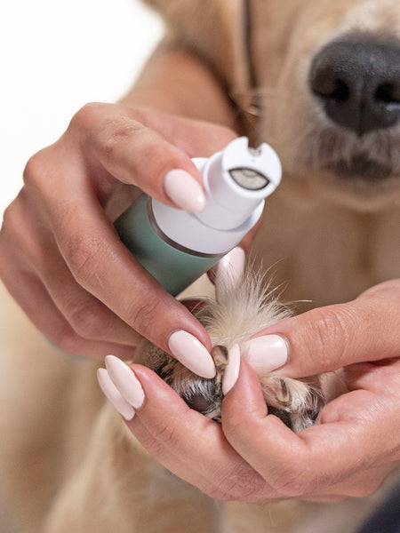 4-in-1 Pet Styler for Dogs and Cats