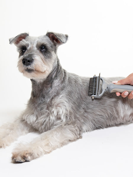 DUO GROOMER BRUSH + COMB IN ONE